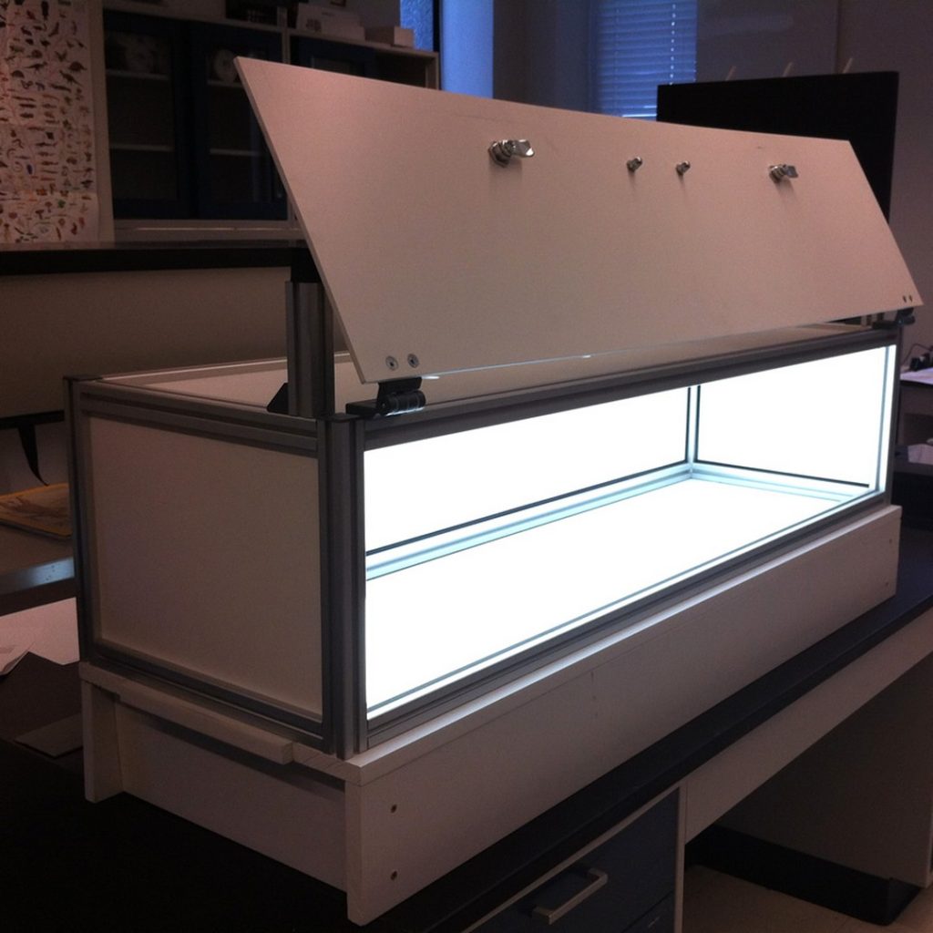 Enclosure With Flip Up Lid
